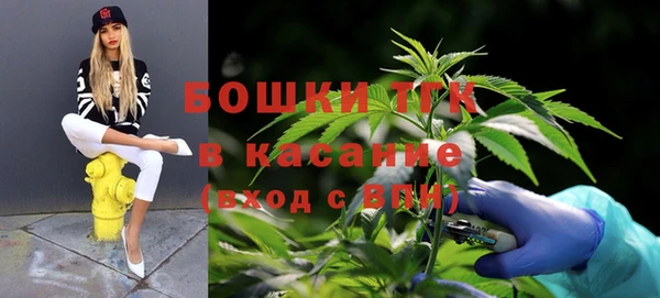 амф Бородино