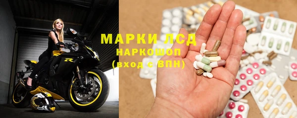 амф Бородино