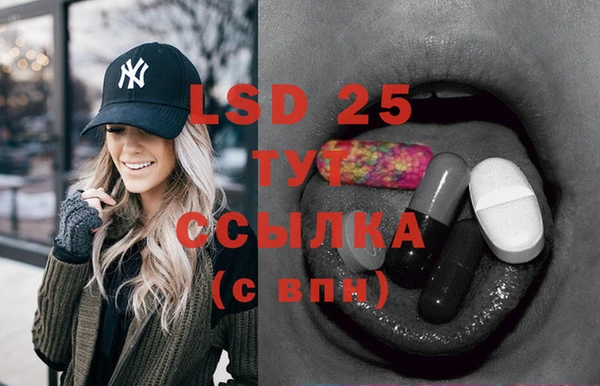 крисы Бронницы