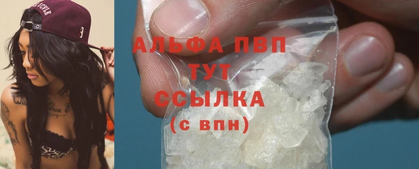 крисы Бронницы