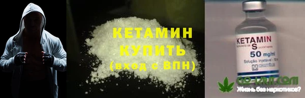 крисы Бронницы