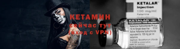 крисы Бронницы
