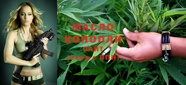 крисы Бронницы