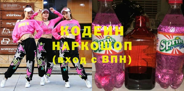 амф Бородино